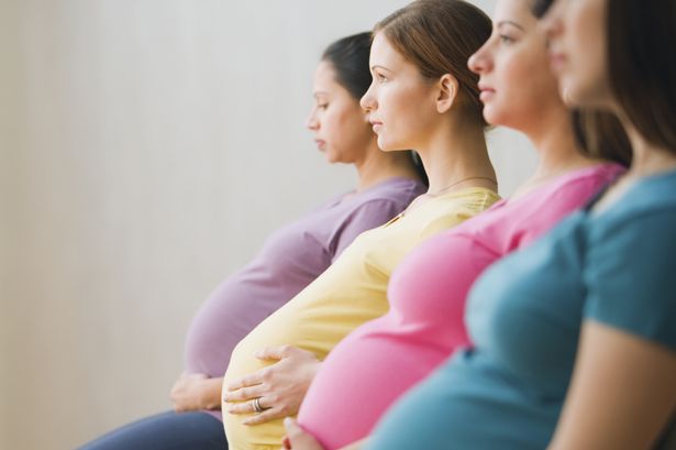 maternity offering program 2018